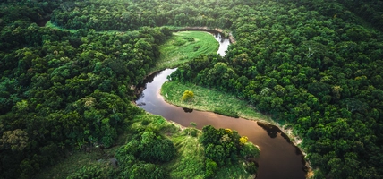 Beautiful greenery view with a river