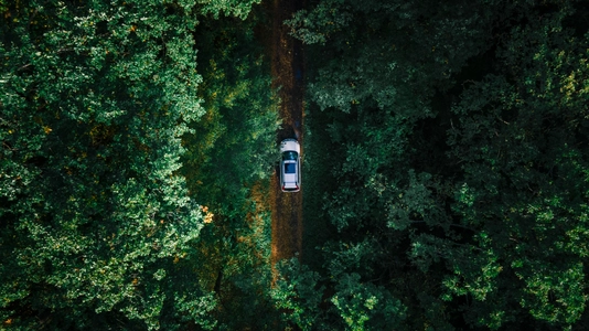 aerial view of the car in forest at trail road