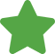 star duotone icon