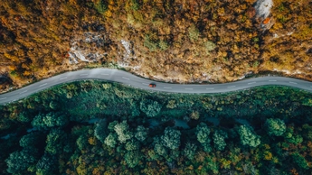 High angle view of a road through an autumn forest