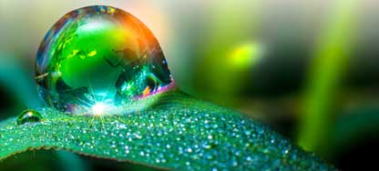 up close water drop on leaf