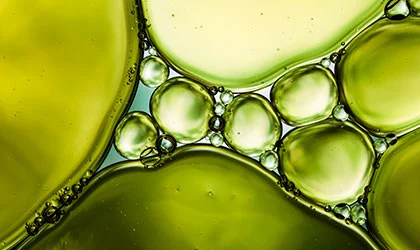 close up of green spheres