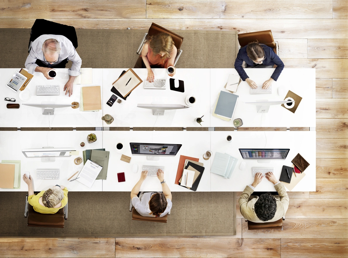 Business Process Services