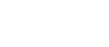 Everest Group Logo