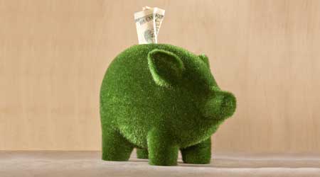 green piggy bank