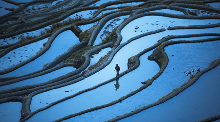 1386946-Nature-Climate-WEF-Blog-GettyImages-1135346294.jpg