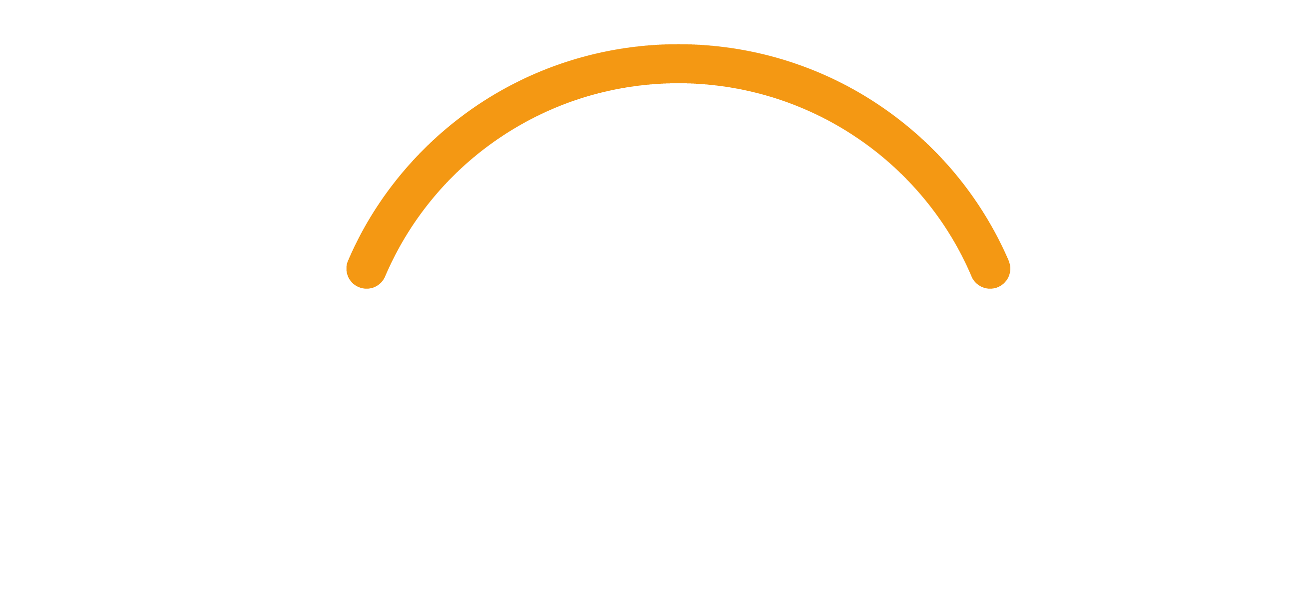 Workday_snfondo.png