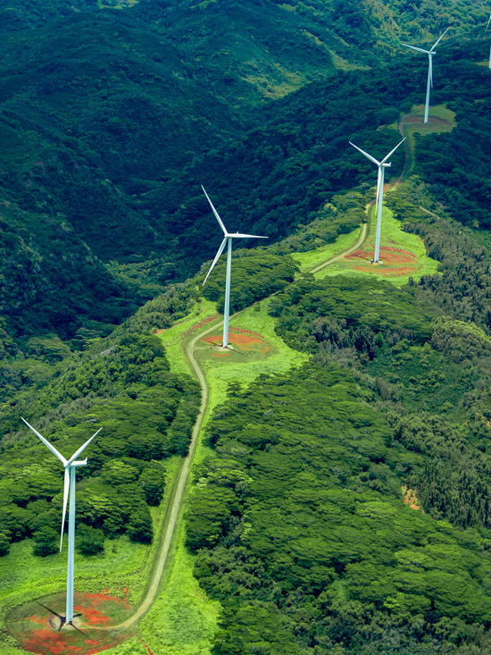 Aerial photo of white windmills in a line on green land leading off into the horizon.
