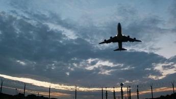 plane in sky