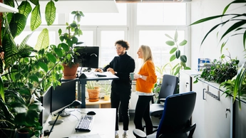 Two Colleagues Looking At Work Using Standing Desk