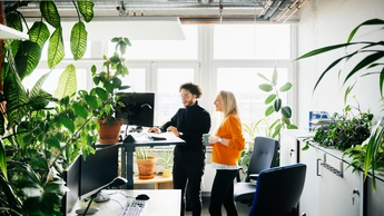 people in office with plants