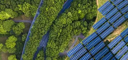 solar panels among trees and roads