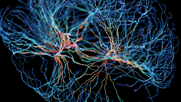 System of neurons with glowing connections on black background