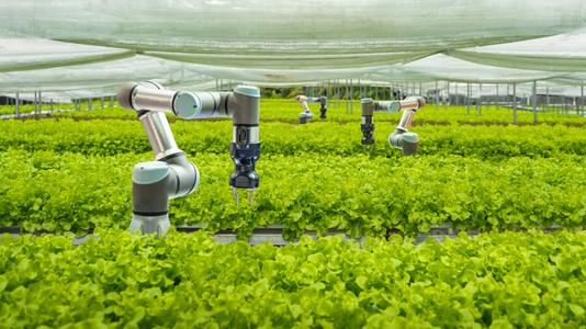 Smart farm and Automatic robot mechanical arm harvesting vegetables