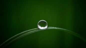 Round water ball on leaf