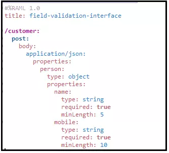 Basic Field Validation using RAML1