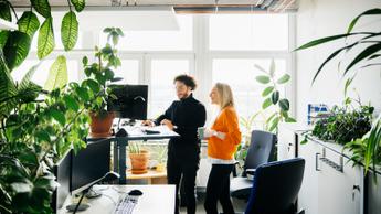 people in office with plants