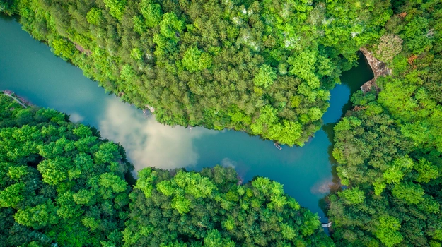 Greenery view with river