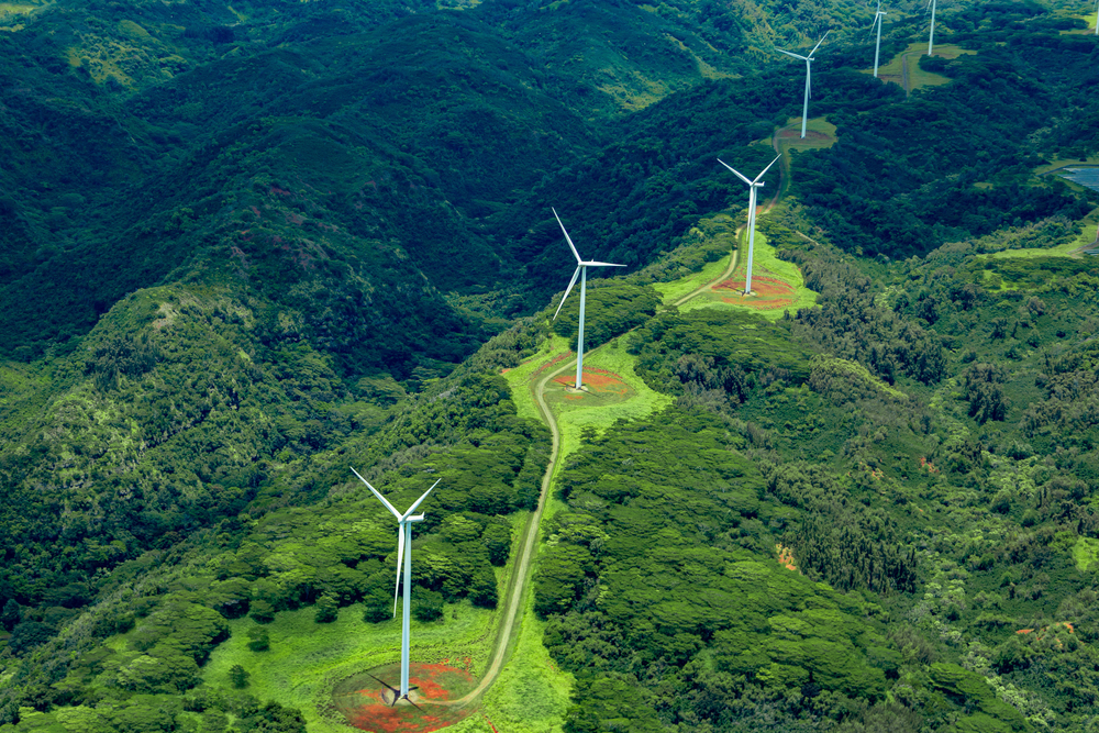 Aerial photo of white windmills in a line on green land leading off into the horizon.