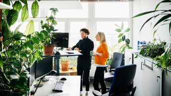 Two Colleagues Looking At Work Using Standing Desk