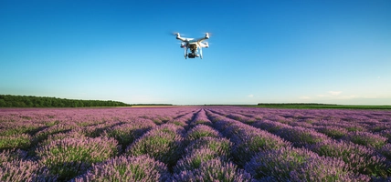 Drone is flying in beautiful garden