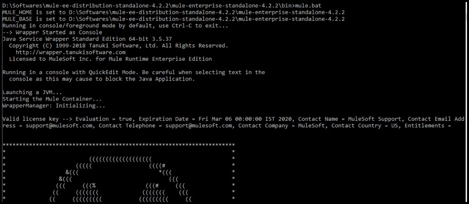 Execute the command mule.bat