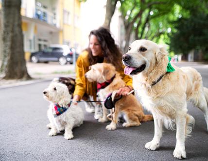 Woman with three pet dogs outdoors in city, resting.