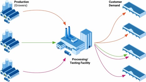 Supply planning in the seed industry